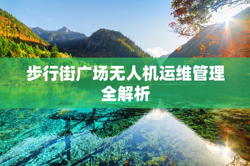 步行街广场无人机运维管理全解析