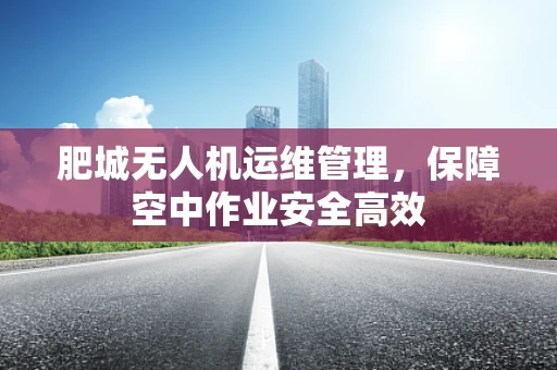 肥城无人机运维管理，保障空中作业安全高效