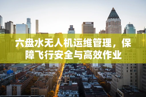 六盘水无人机运维管理，保障飞行安全与高效作业