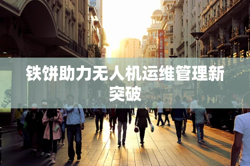 铁饼助力无人机运维管理新突破