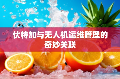 伏特加与无人机运维管理的奇妙关联