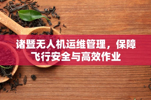 诸暨无人机运维管理，保障飞行安全与高效作业