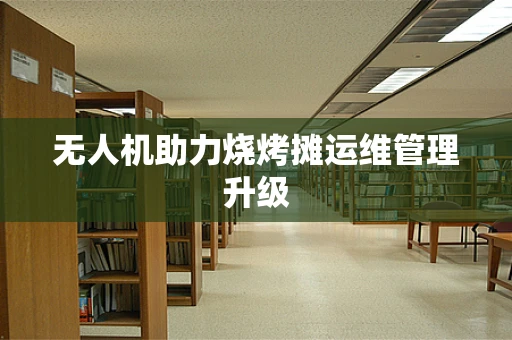 无人机助力烧烤摊运维管理升级