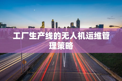工厂生产线的无人机运维管理策略