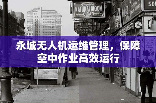 永城无人机运维管理，保障空中作业高效运行