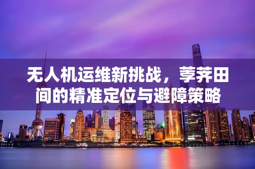 无人机运维新挑战，荸荠田间的精准定位与避障策略