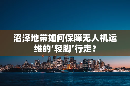 沼泽地带如何保障无人机运维的‘轻脚’行走？