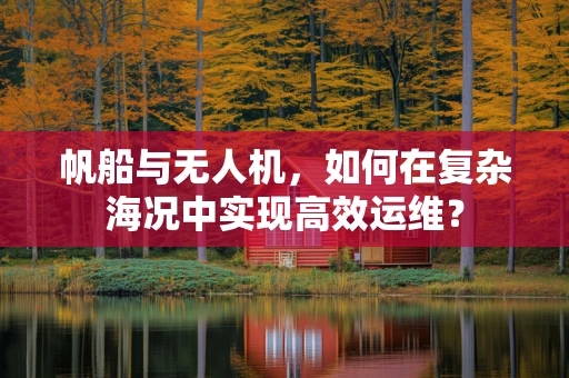 帆船与无人机，如何在复杂海况中实现高效运维？