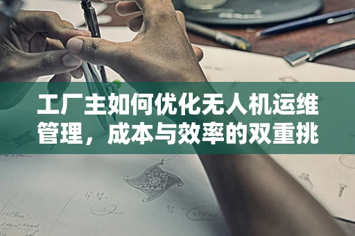 工厂主如何优化无人机运维管理，成本与效率的双重挑战
