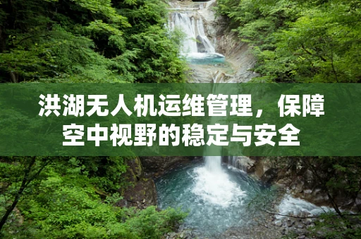 洪湖无人机运维管理，保障空中视野的稳定与安全