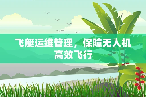 飞艇运维管理，保障无人机高效飞行