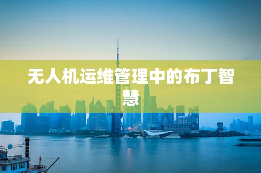 无人机运维管理中的布丁智慧