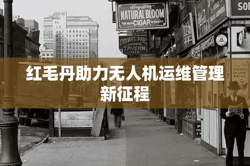 红毛丹助力无人机运维管理新征程