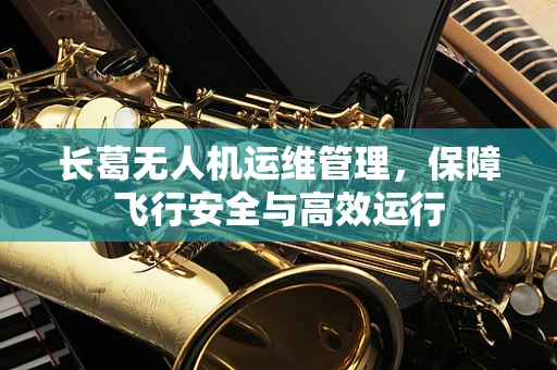 长葛无人机运维管理，保障飞行安全与高效运行