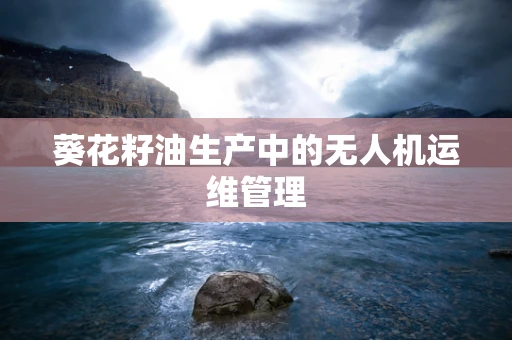 葵花籽油生产中的无人机运维管理