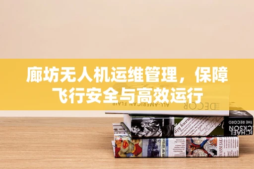 廊坊无人机运维管理，保障飞行安全与高效运行
