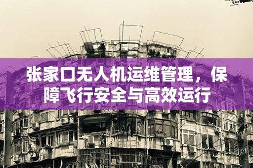 张家口无人机运维管理，保障飞行安全与高效运行