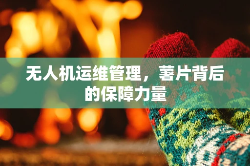 无人机运维管理，薯片背后的保障力量