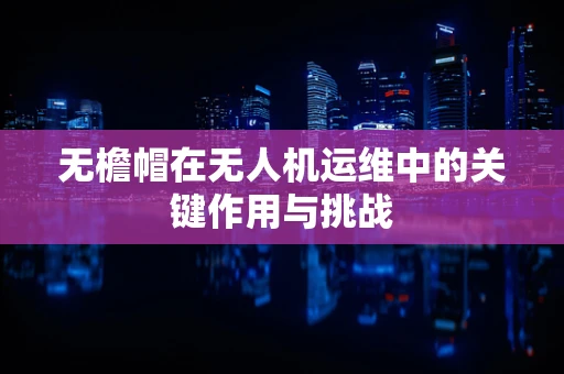 无檐帽在无人机运维中的关键作用与挑战