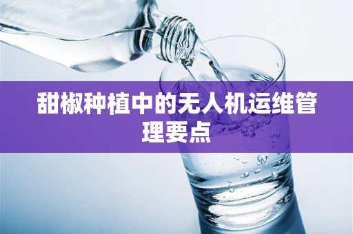甜椒种植中的无人机运维管理要点