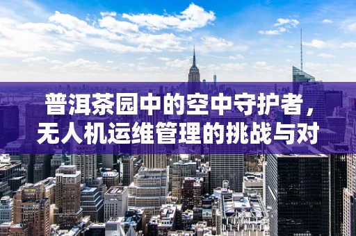 普洱茶园中的空中守护者，无人机运维管理的挑战与对策