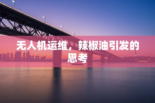 无人机运维，辣椒油引发的思考