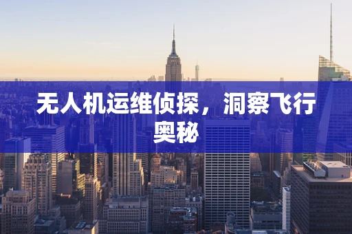 无人机运维侦探，洞察飞行奥秘