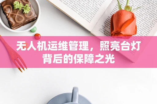 无人机运维管理，照亮台灯背后的保障之光