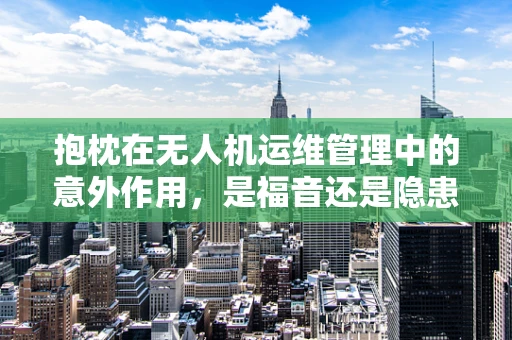 抱枕在无人机运维管理中的意外作用，是福音还是隐患？