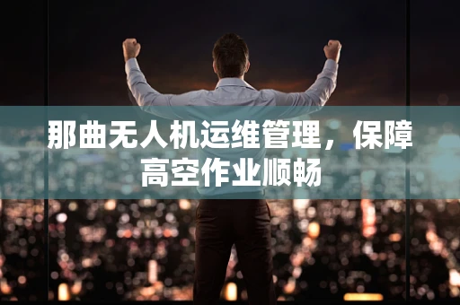 那曲无人机运维管理，保障高空作业顺畅