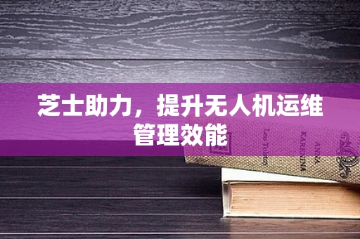 芝士助力，提升无人机运维管理效能