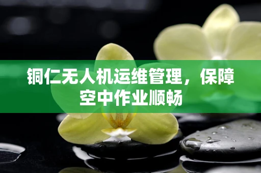 铜仁无人机运维管理，保障空中作业顺畅