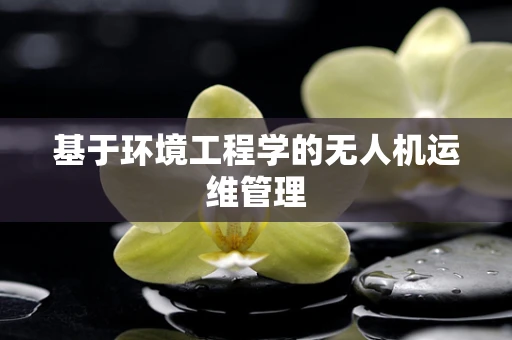 基于环境工程学的无人机运维管理
