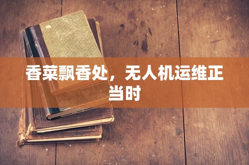香菜飘香处，无人机运维正当时