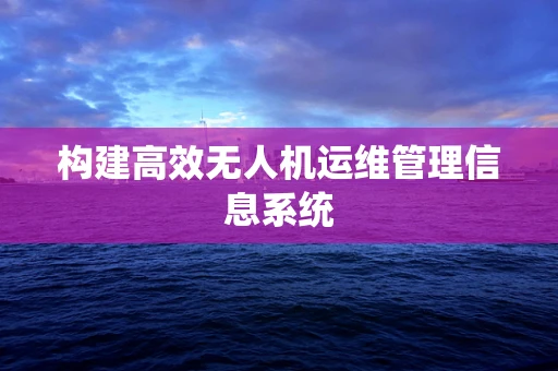 构建高效无人机运维管理信息系统