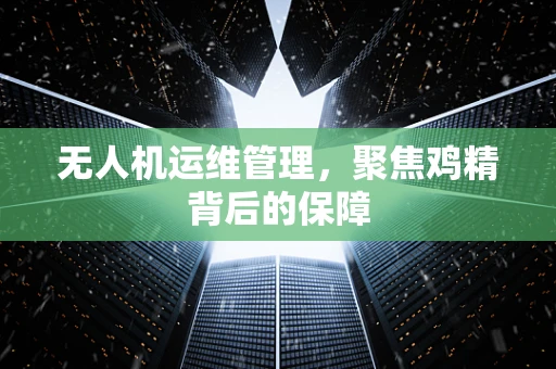 无人机运维管理，聚焦鸡精背后的保障