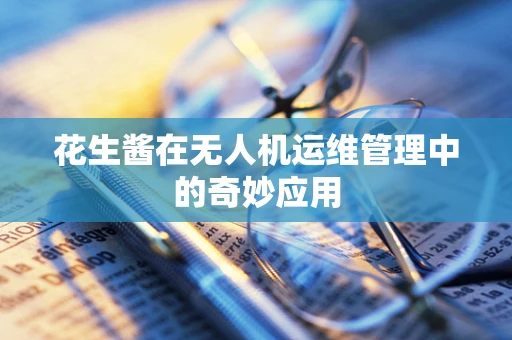花生酱在无人机运维管理中的奇妙应用