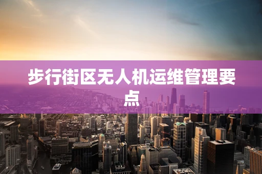 步行街区无人机运维管理要点