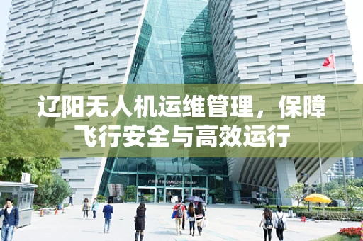 辽阳无人机运维管理，保障飞行安全与高效运行