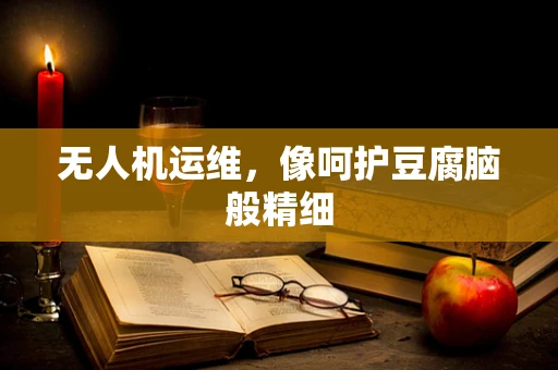 无人机运维，像呵护豆腐脑般精细
