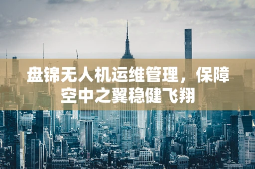 盘锦无人机运维管理，保障空中之翼稳健飞翔