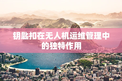 钥匙扣在无人机运维管理中的独特作用