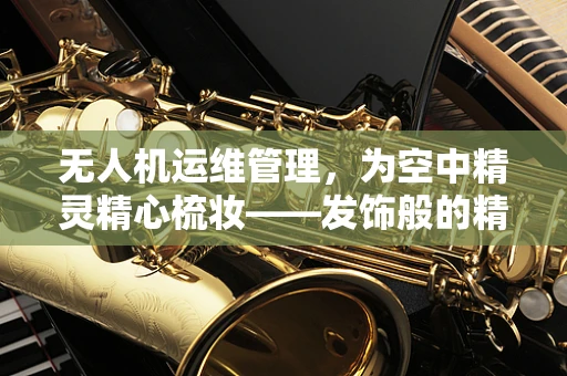 无人机运维管理，为空中精灵精心梳妆——发饰般的精细呵护