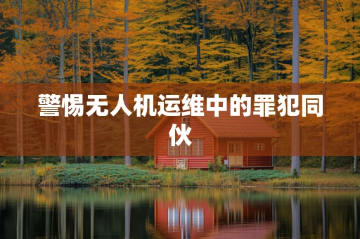 警惕无人机运维中的罪犯同伙