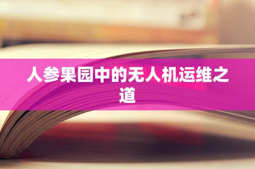 人参果园中的无人机运维之道
