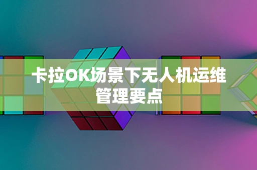 卡拉OK场景下无人机运维管理要点