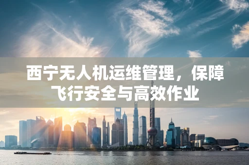 西宁无人机运维管理，保障飞行安全与高效作业