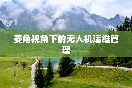 菱角视角下的无人机运维管理