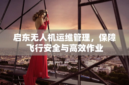 启东无人机运维管理，保障飞行安全与高效作业