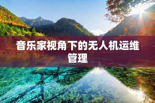 音乐家视角下的无人机运维管理